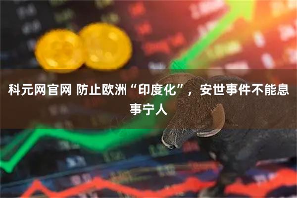 科元网官网 防止欧洲“印度化”，安世事件不能息事宁人