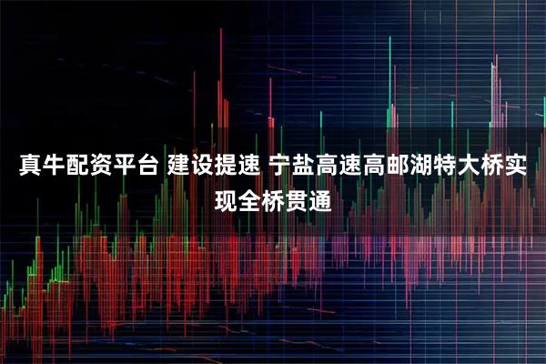 真牛配资平台 建设提速 宁盐高速高邮湖特大桥实现全桥贯通